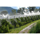 microirrigazione frutteto